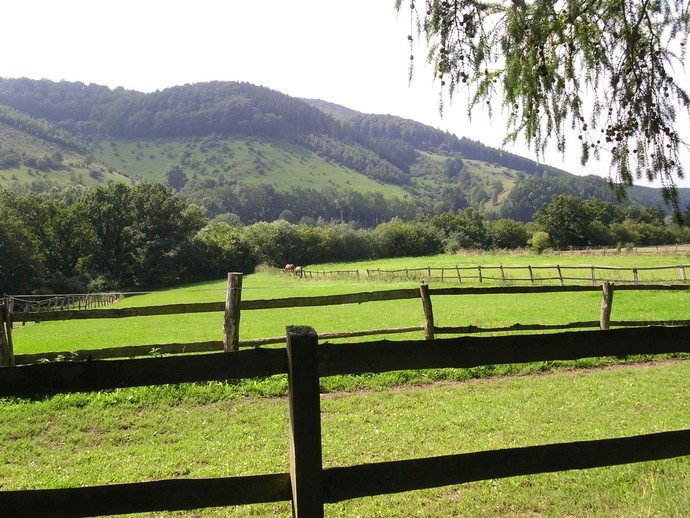 Landwirtschaftliche Fläche