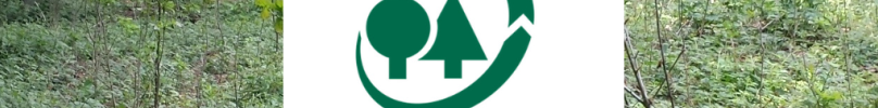 PEFC Logo