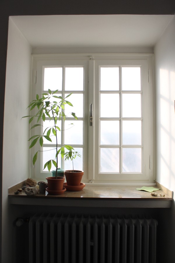Fenster