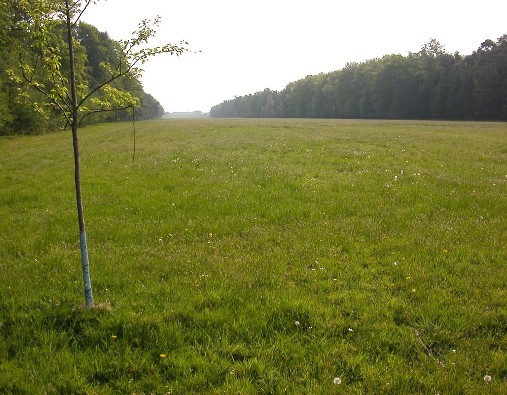 Landiwrtschaftl. Fläche