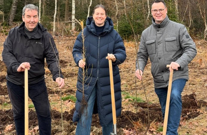 Foto der Aufforstungsaktion